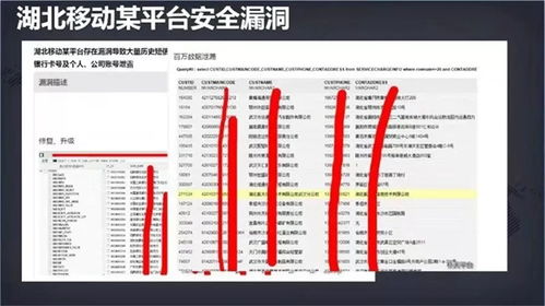 守護數字身份 網絡安全周下，應對個人信息泄露與安全軟件的選擇之道